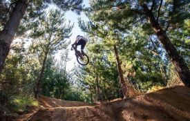 Mountain Biking